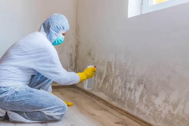 Licensed Mold Inspection And Testing service in Fairfax, VA - Mold Remediation HQ
