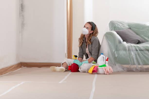 Reliable Mold Inspection And Testing contractor in Fairfax, VA by Mold Remediation HQ